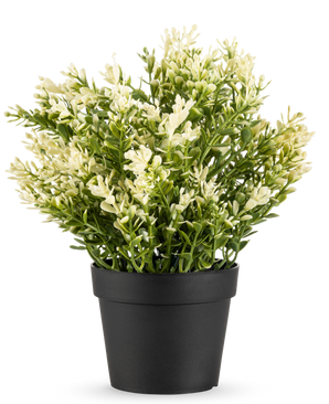 The Artificial Plant Boxwood in pot UV 23 cm is a small artificial plant in pot with dense green leaves in a simple black pot, perfect to brighten up any room.