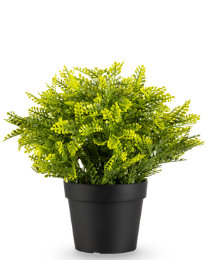 The Artificial Fern in pot UV 22 cm is a small artificial fern with dense green leaves in a simple black pot, against a plain white background.