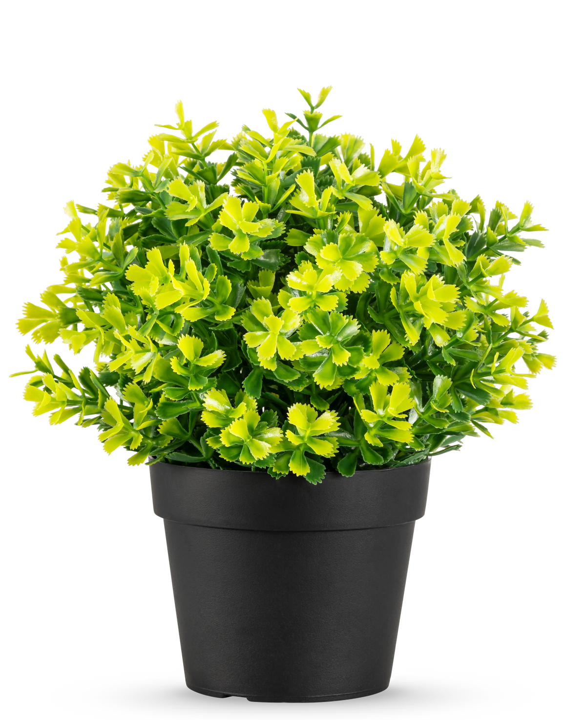 The Artificial Rosemary UV 22 cm plant has bright green and yellow leaves in a plain black plastic pot, against a white background.