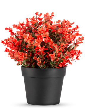 The Artificial Plant Buxus red in pot UV 19 cm is a compact black flower pot with a lush mix of red and green artificial leaves against a plain white background.