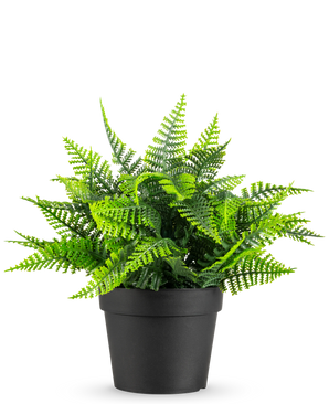 The Artificial Plant Fern in pot UV 23 cm has a lifelike green fern with feathery leaves in a simple black pot, against a white background.