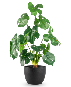 The Artificial Monstera 51 cm in black decorative pot has large, glossy green leaves with striking splits, in a simple black pot against a plain white background.