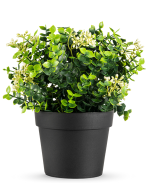 The Artificial Plant Eucalyptus mix UV 22 cm has bright green leaves and small white flowers in a simple black pot, against a white background.