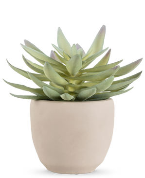The Artificial succulent plant 18 cm has thick, pointed green leaves in a simple, round pot of off-white ceramic, against a white background.