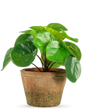 The Artificial Plant Pilea in pot mini UV 15 cm has round, glossy green leaves in a weathered brown terracotta pot, against a plain white background.