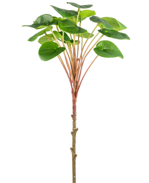 An Artificial Pilea Pancake Plant 50 cm with a slender brown stem, long reddish stems and large round green leaves is shown against a plain white background.