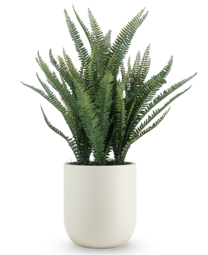 The Artificial Boston Fern 82 cm has long, narrow green leaves and comes in a simple round white pot, against a plain white background.