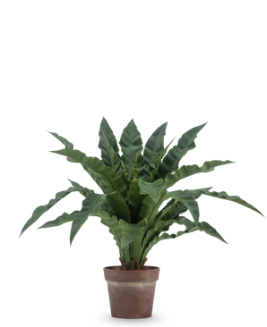 The Artificial Nest Fern 61 cm has long, wavy green leaves in a brown, rustic pot against a plain white background.
