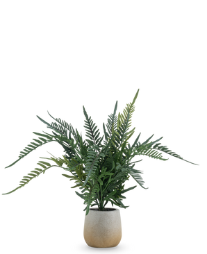 The Artificial Plant Fern 51 cm is an artificial fern with long, green, feathery leaves in a simple round pot of light-colored ceramic, against a plain white background.
