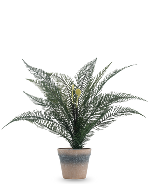 Artificial plant Phoenix fern 39 cm in a simple, weathered terracotta pot with lush, feathery green leaves against a plain white background.