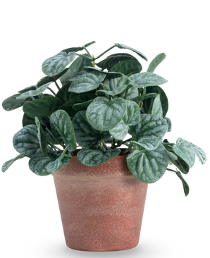 The Artificial Rugose leaf 26 cm green has round, green textured leaves in a red-brown clay pot, against a plain white background.