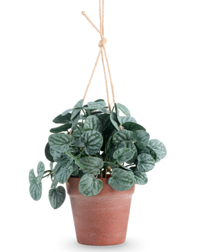 The Artificial Rugose leaf 29 cm green in hanging pot has round, dark green leaves in a brown hanging pot, against a plain white background.