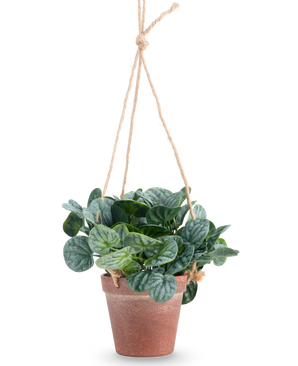 The Artificial Rugose leaf 18 cm green has round green leaves in a terra-cotta hanging pot, hung on tan rope, against a plain white background.