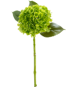 The Artificial Flower Charlotte Hydrangea Real Touch dark green 55 cm consists of one green hydrangea flower with bunched petals, three glossy leaves and a long stem, all depicted against a white background.