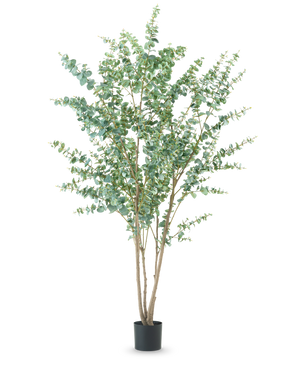 The Artificial Plant Eucalyptus 240 cm is a tall artificial plant with multiple thin woody stems and round green leaves, displayed in a simple black pot against a plain white background.