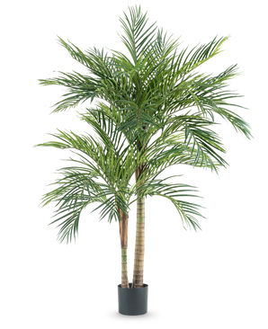 The Artificial Plant Areca 180 cm is a tall artificial palm with several slender trunks and long green leaves, in a simple black pot against a white background.