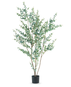 The Artificial Plant Eucalyptus 210 cm is a tall artificial eucalyptus in a simple black pot, with several slender branches and round, silver-green leaves against a white background.