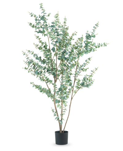 The Artificial Plant Eucalyptus 210 cm is a tall artificial eucalyptus in a simple black pot, with several slender branches and round, silver-green leaves against a white background.
