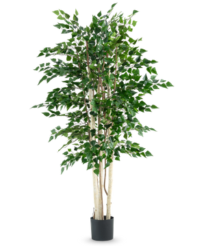 The Artificial Plant Rough Birch 210 cm has several slender white trunks and dense green leaves, high in a black pot against a plain white background.