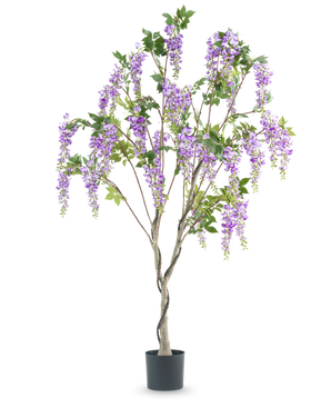 The Artificial Wisteria 180 cm plant has a twisted trunk with lifelike bunches of purple flowers and green leaves against a white background.