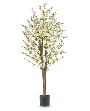 The Artificial Cherry Blossom Plant 180 cm cream has several brown stems, green leaves and many small white blossoms in a black pot, against a plain white background.