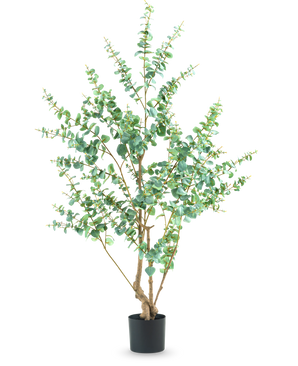 The Artificial Plant Eucalyptus 180 cm is a tall artificial plant with slender branches and round green leaves, displayed in a simple black pot against a white background.