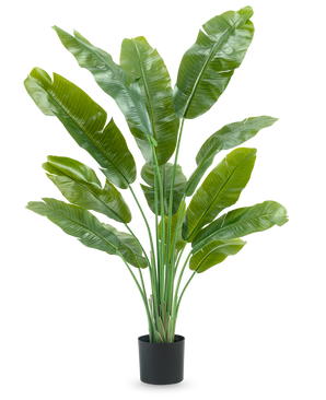 The Artificial Plant Strelitzia Nicolai Deluxe 165 cm has high, wide green leaves in a black pot, against a white background - perfect as a green artificial plant for your interior.