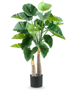 The Artificial Plant Alocasia 120 cm has large, glossy green leaves and two thick, structured stems in a simple black pot, against a white background.