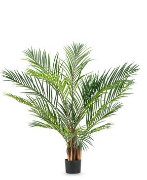 The Artificial Plant Areca 150 cm has long, slender green leaves and brown stems in a simple black pot, against a plain white background.