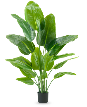 The Artificial Plant Strelitzia Real Touch Deluxe 150 cm has high stems with large, glossy green leaves, in a simple black pot against a plain white background.