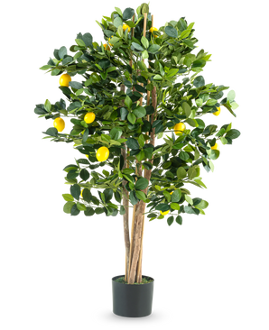 The Artificial Lemon Tree 120 cm is an artificial lemon tree in a pot with multiple slender trunks, lush green leaves and bright yellow lemons against a plain white background.