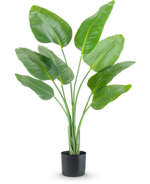 The Artificial Plant Strelitzia 120 cm real touch has high, green, upward growing elongated leaves in a black planter, against a plain white background.