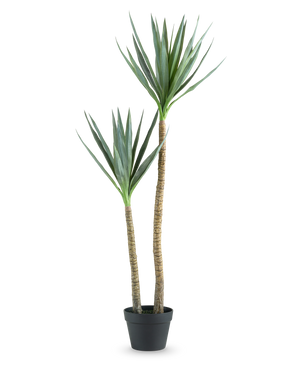 The Artificial Plant Heneken 120 cm is an artificial yucca plant with two high, slender trunks and pointed green leaves against a plain white background.
