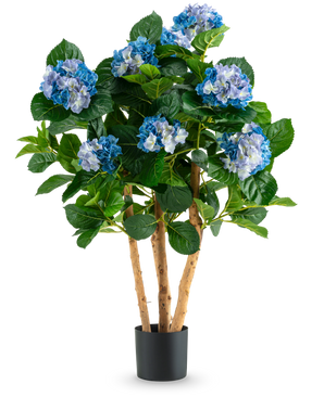 The Artificial Hydrangea UV 85 cm blue has high wooden stems and large green leaves, with bunches of blue and white hydrangea flowers in a black pot, perfect for decoration.