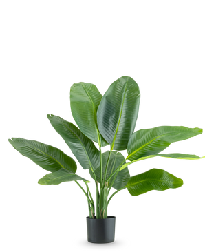 The Artificial Plant Strelitzia Real Touch Deluxe 90 cm is a tall potted plant with large, glossy green leaves, depicted against a plain white background.