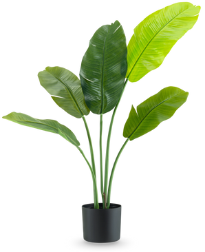 The Artificial Plant Strelitzia Nicolai Deluxe 90 cm has large, glossy green leaves on long stems and is presented in a simple black pot against a plain white background.