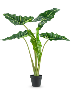 The Artificial Plant Alocasia 80 cm has large, dark green arrow-shaped leaves with light green veins and comes in a simple black pot, against a plain white background.