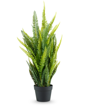 The Artificial Boston Fern 86 cm has tall, lush green leaves in a simple black pot, against a plain white background.