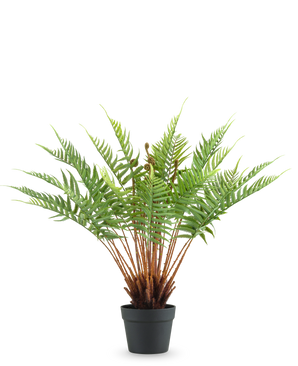 The Artificial Plant Fern 66 cm is an artificial fern in a pot with long, fluffy green leaves and brown stems, against a plain white background.