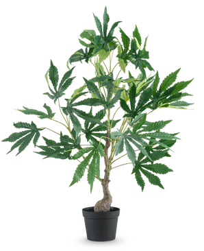 An Artificial Plant Hemp Cannabis Leaves of 60 cm, with a thin trunk and several branches full of large, whimsical green leaves, against a plain white background.
