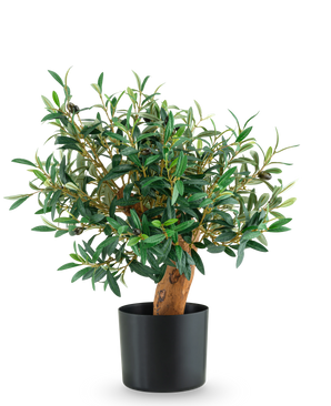 The Artificial Olive Mount UV 60cm is a small potted olive tree with lush green leaves and a sturdy trunk, presented in a sleek black pot against a plain white background.
