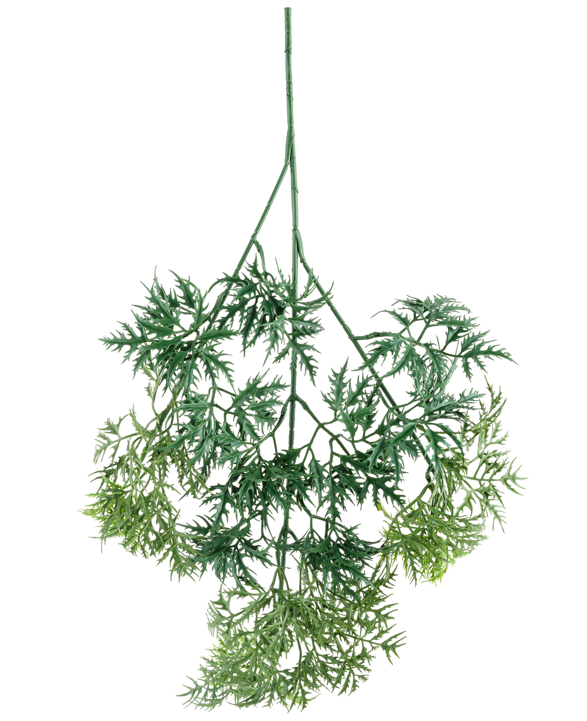 The Kunsttak Ming Aralia spray 72 cm has green, feather-light artificial leaves with fine, needle-like edges in various green shades, hanging upside down against a white background.