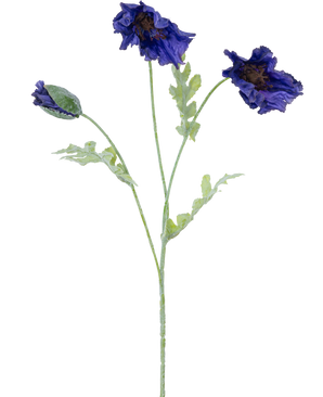 A botanical illustration of the Artificial Flower Poppy 73 cm dark blue shows three light green stems - two with ruffles of dark blue flowers and one with a closed bud against a white background.