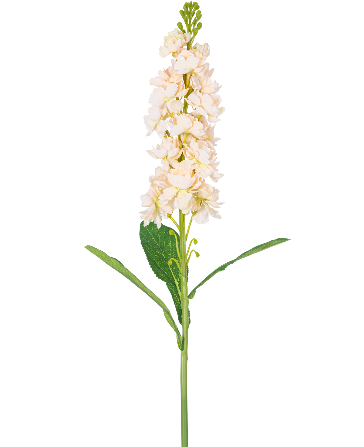 A single Artificial Flower Violier 78 cm cream has multiple light cream blossoms and green leaves against a plain white background.