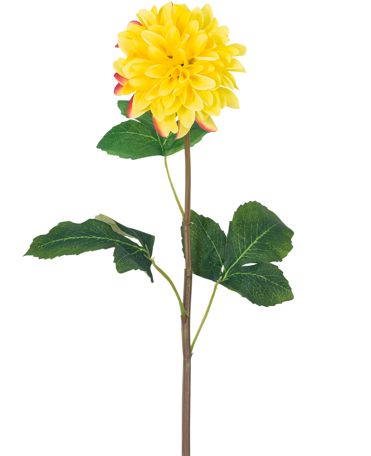The Artificial Flower Dahlia Real Touch Yellow 73 cm is a single yellow dahlia with round petals and red accents, with a long green stem and a number of large green leaves, against a white background.