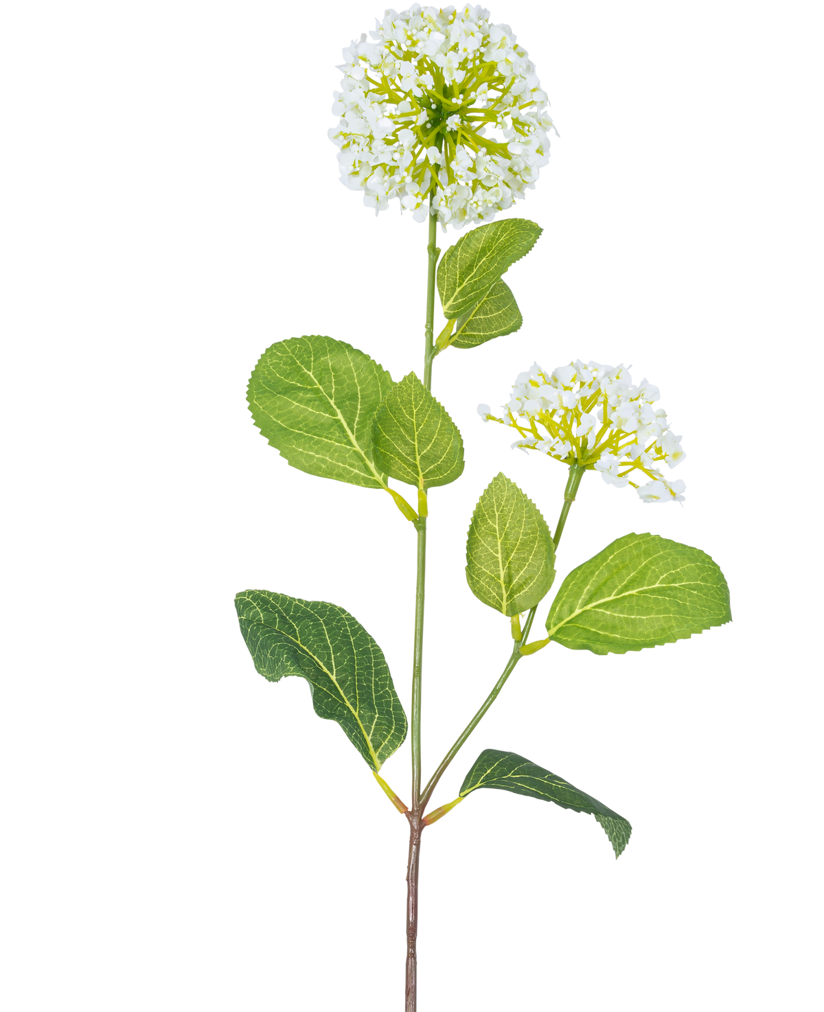 The Artificial Flower Snowball/Viburnum (70 cm) has two bunches of small white flowers and several green oval leaves on a stem, against a white background.