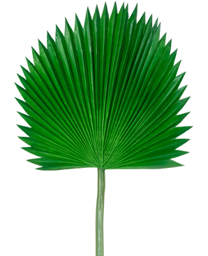 The Artificial Leaf Washingtonia 105cm is a single green palm leaf with a fan shape and pointed ends, against a plain white background.