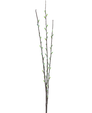The Artificial Flower Salix willow 70 cm has three slender brown branches with small green buds and light gray, fluffy catkins, arranged along the stems against a plain white background.