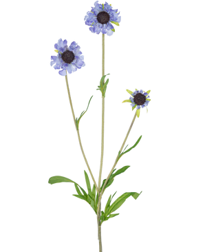 The Artificial Flower Scabiosa 63 cm blue has a single green stem with three branches, each crowned with a light purple-blue, daisy-like flower and dark, elongated green leaves in the middle, all against a plain white background.