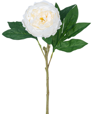 The Artificial Peony Real Touch White 58cm has a single white peony with layered petals and a yellow heart on a long green stem with several large green leaves, against a plain white background.